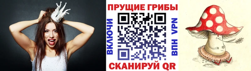 Псилоцибиновые грибы ЛСД  Горячеводский 