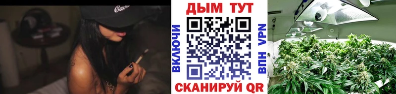 дарнет шоп  Горячеводский  Бошки Шишки сатива 